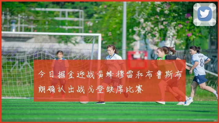 今日掘金迎战黄蜂穆雷和布鲁斯布朗确认出战戈登缺席比赛